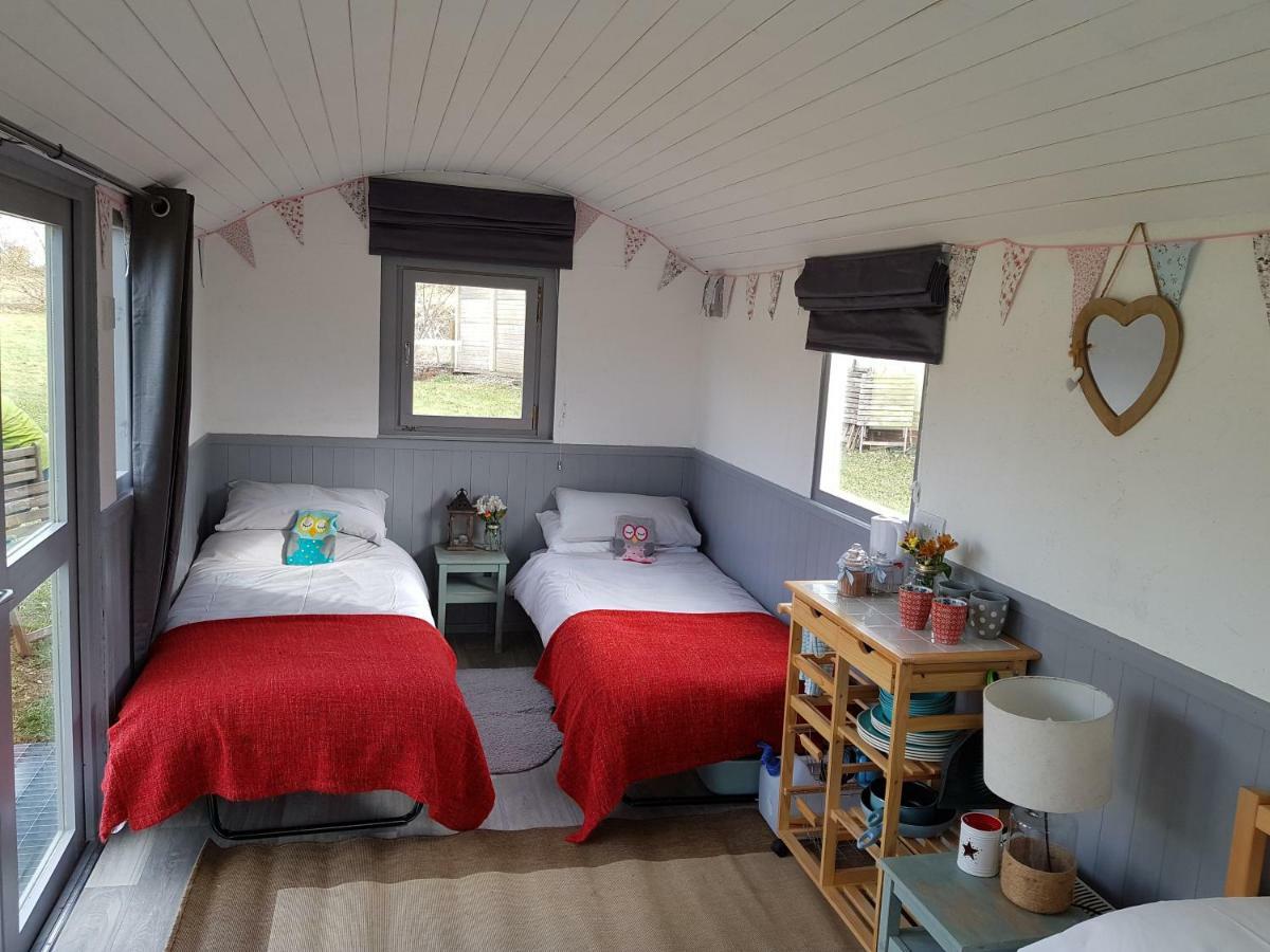 Acorn Camping And Caravan Park 란트윗메이어 외부 사진