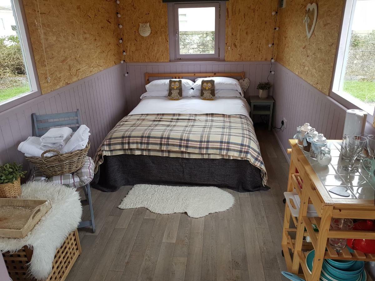 Acorn Camping And Caravan Park 란트윗메이어 외부 사진
