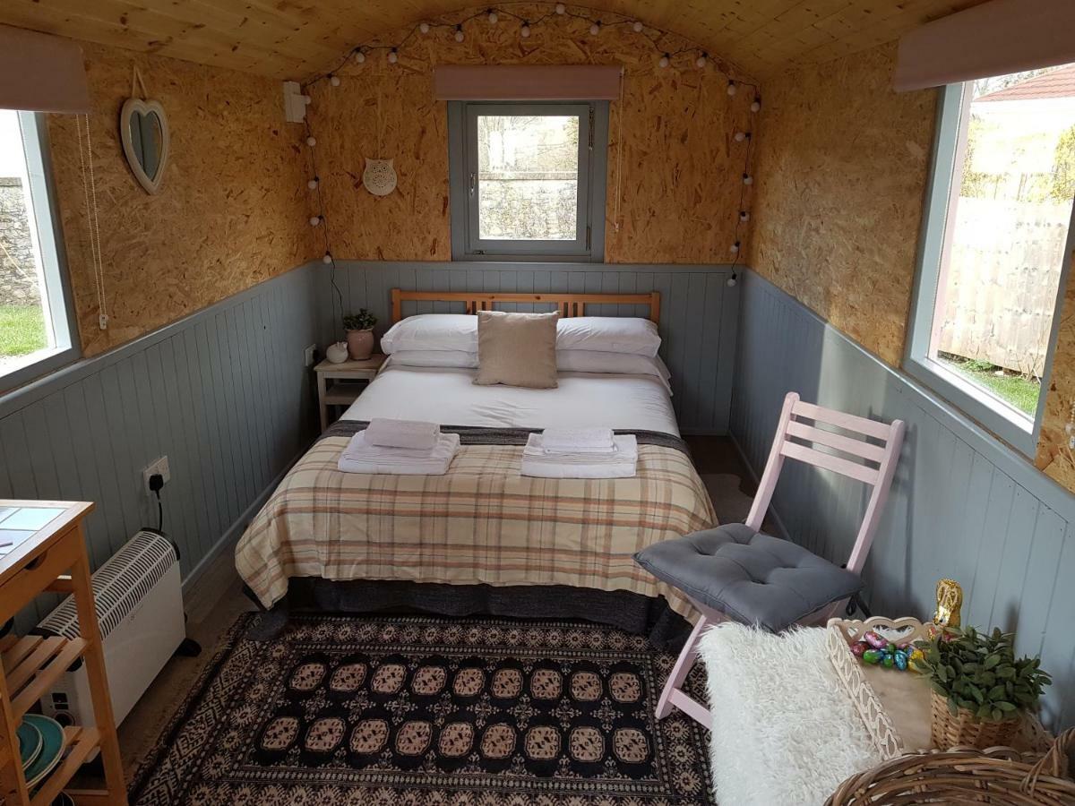 Acorn Camping And Caravan Park 란트윗메이어 외부 사진
