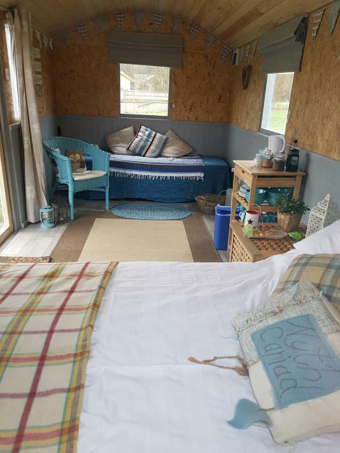 Acorn Camping And Caravan Park 란트윗메이어 외부 사진