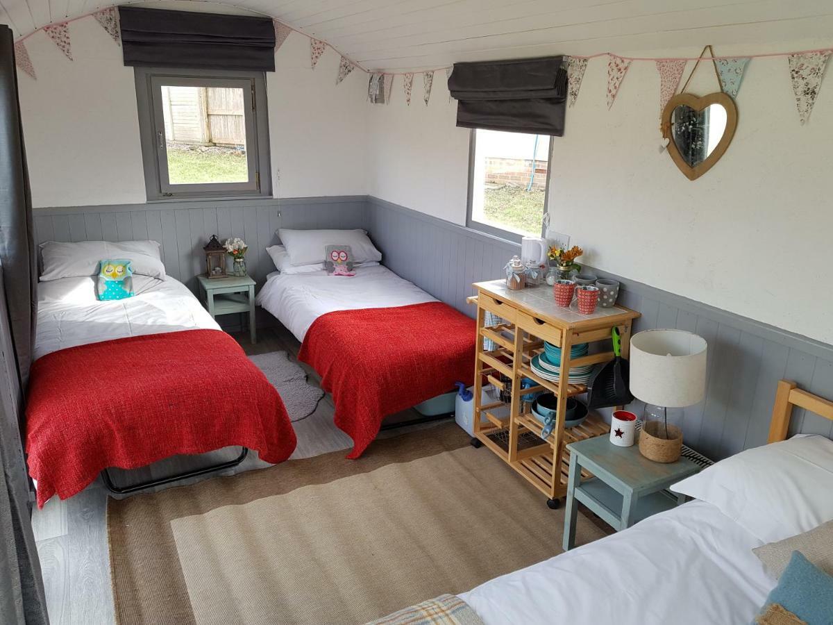 Acorn Camping And Caravan Park 란트윗메이어 외부 사진