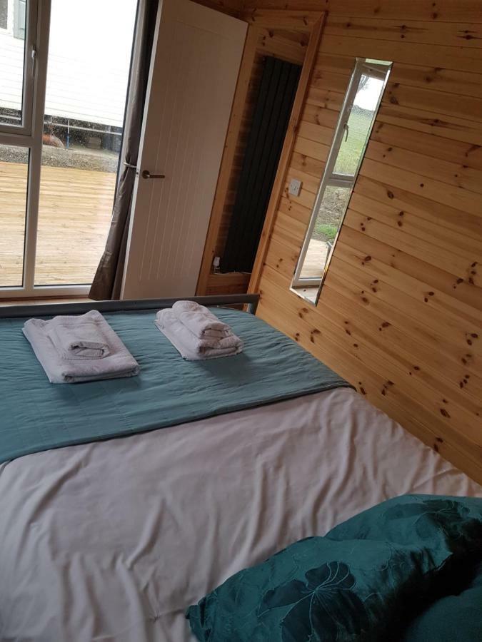 Acorn Camping And Caravan Park 란트윗메이어 외부 사진